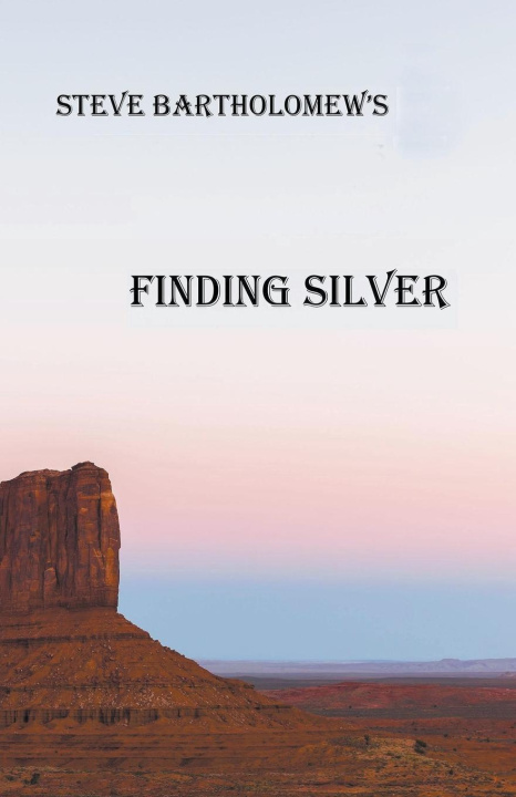 Knjiga Finding Silver Steve Bartholomew