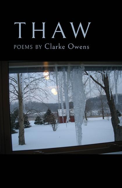 Boek Thaw Clarke Owens