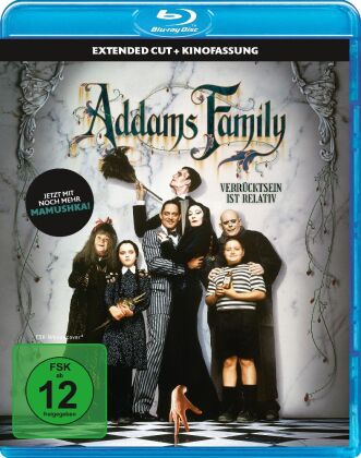 Video Addams Family, 1 Blu-ray Barry Sonnenfeld