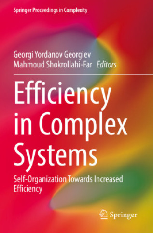 Knjiga Efficiency in Complex Systems Georgi Yordanov Georgiev