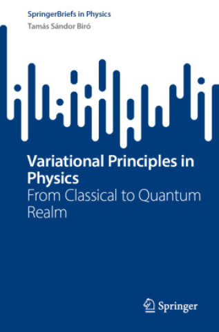 Boek Variational Principles in Physics Tamás Sándor Biró