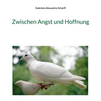 Könyv Zwischen Angst und Hoffnung Gabriela Alexandra Scharff