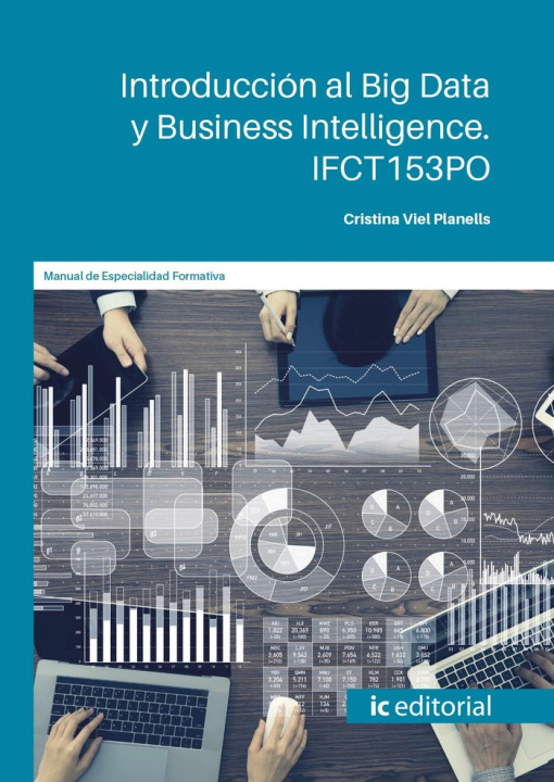 Kniha INTRODUCCION AL BIG DATA Y BUSINESS INTELLIGENCE. IFCT153PO VIEL PLANELLS