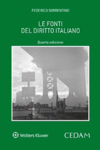 Könyv Fonti del diritto italiano Federico Sorrentino