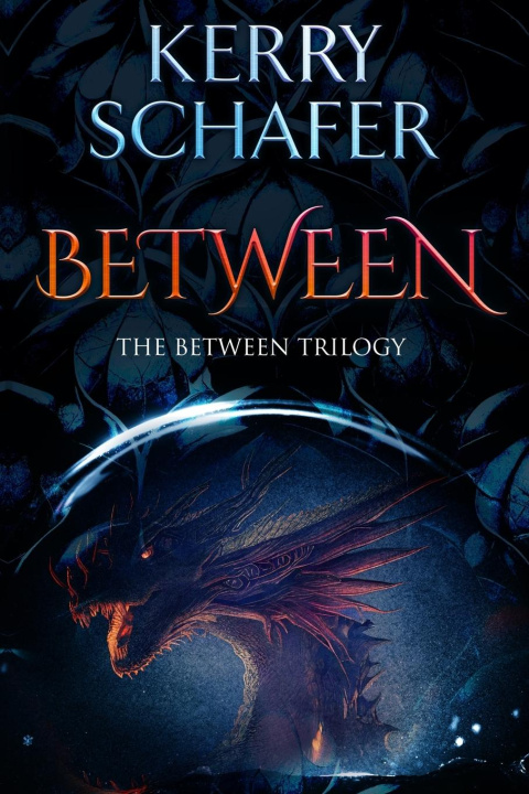 Knjiga Between Kerry Schafer