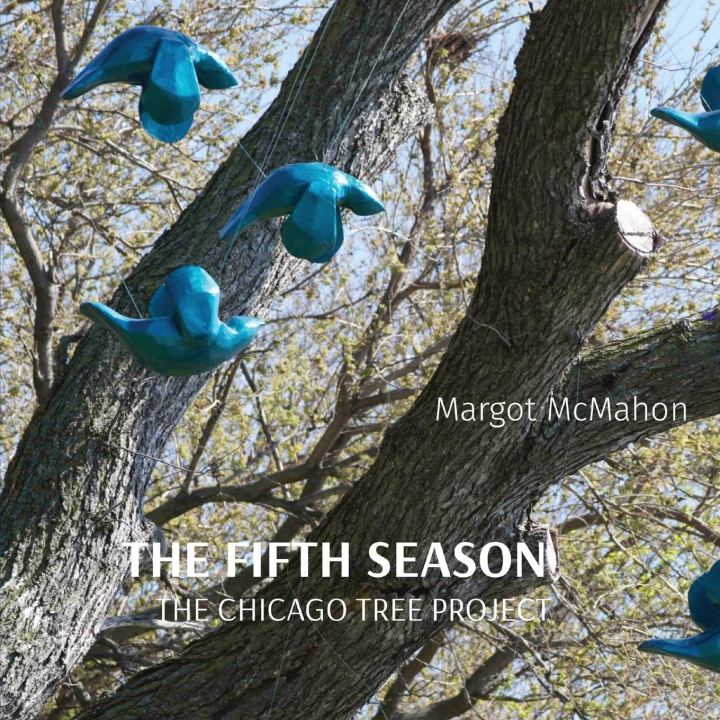 Kniha THE FIFTH SEASON Margot McMahon