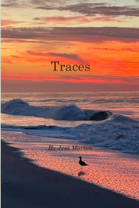 Книга Traces Jess Morton