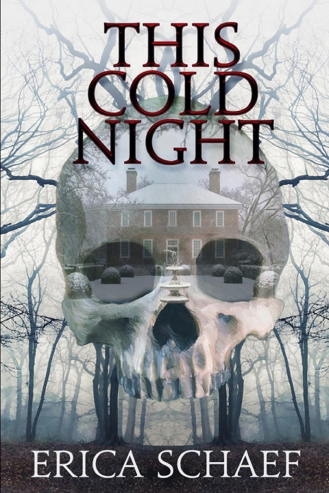Boek This Cold Night Carrie Allison-Rolling