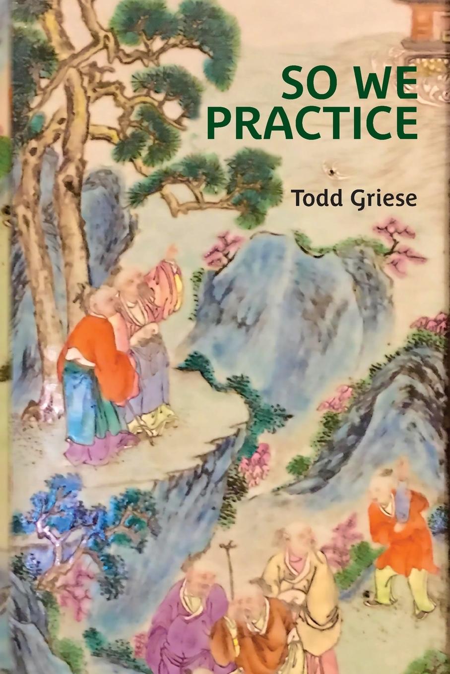 Boek So We Practice Todd Griese