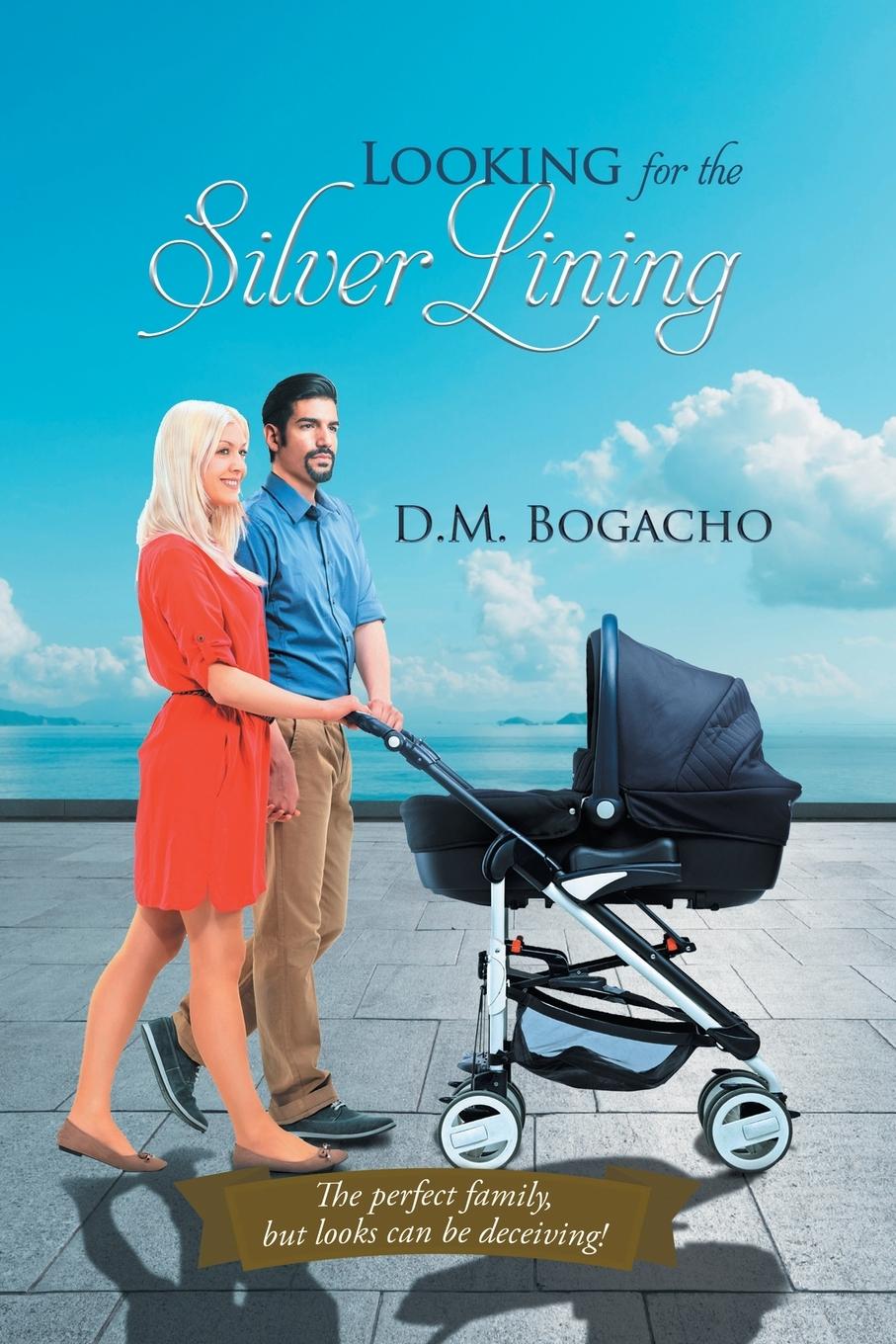 Knjiga Looking for the Silver Lining D.M. Bogacho