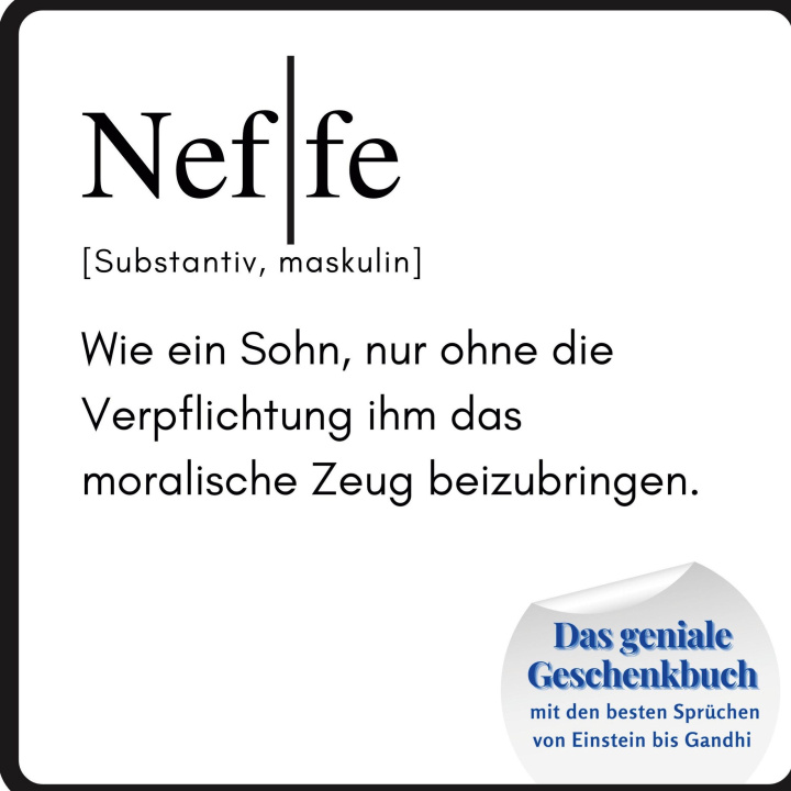 Boek Neffe Steffi Meier