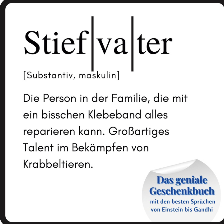 Knjiga Stiefvater Steffi Meier