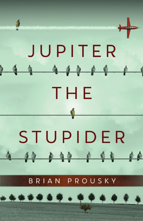 Knjiga Jupiter the Stupider Brian Prousky
