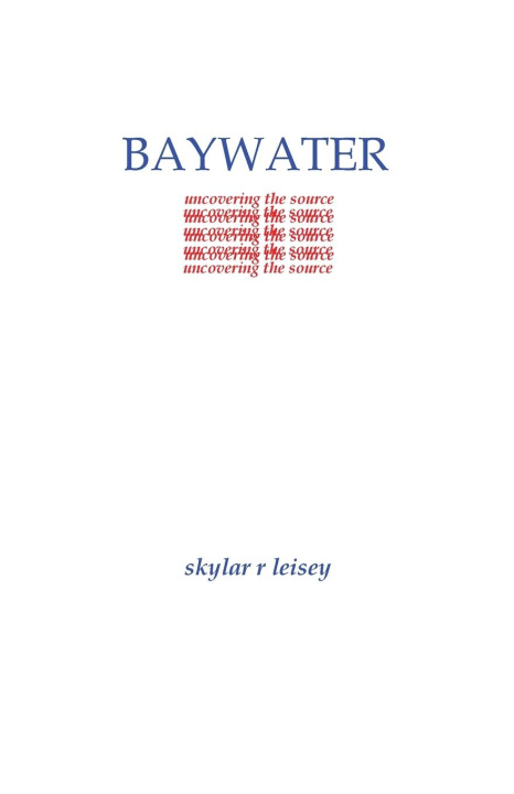 Knjiga Baywater Skylar R Leisey