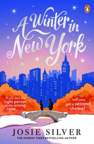 Knjiga Winter in New York Josie Silver