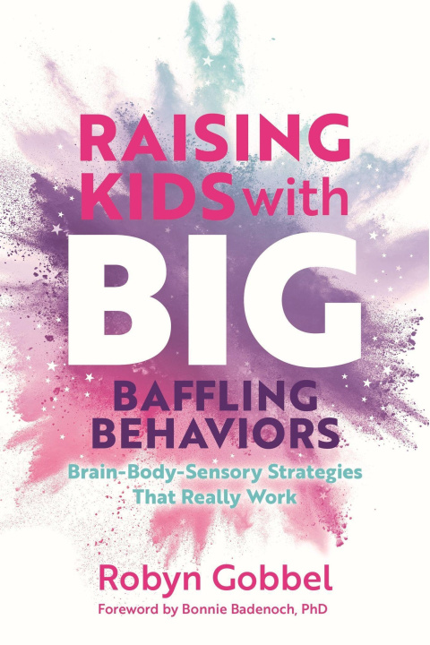 Book Raising Kids with Big, Baffling Behaviors Robyn Gobbel