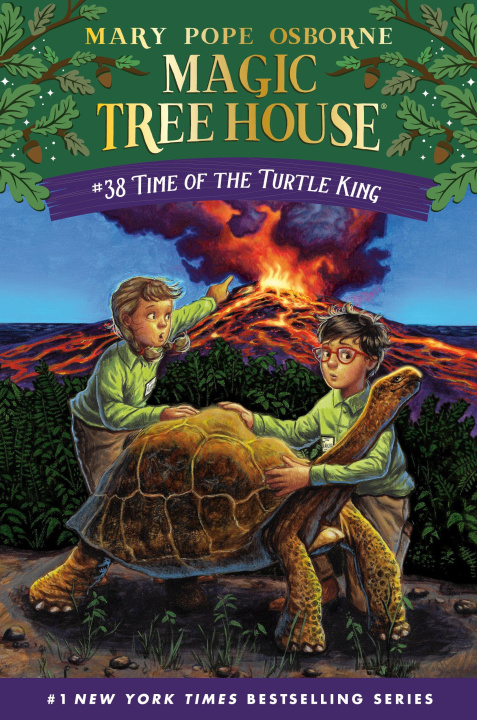 Книга Time of the Turtle King Ag Ford