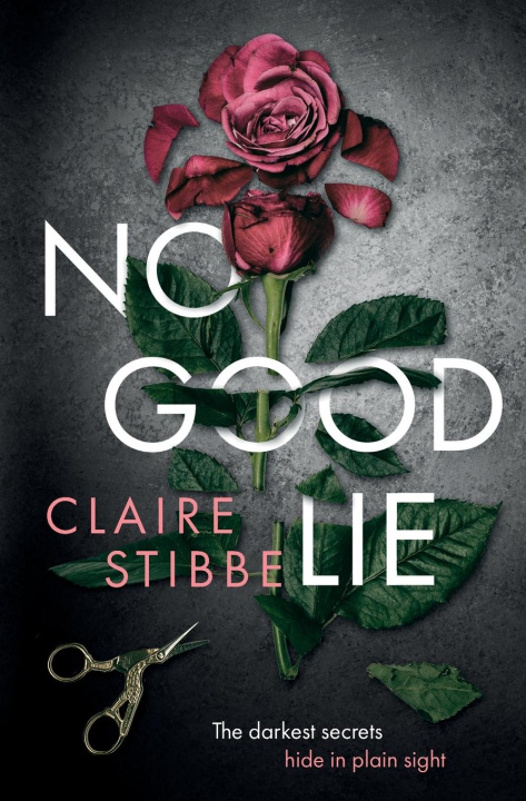 Kniha No Good Lie Claire Stibbe