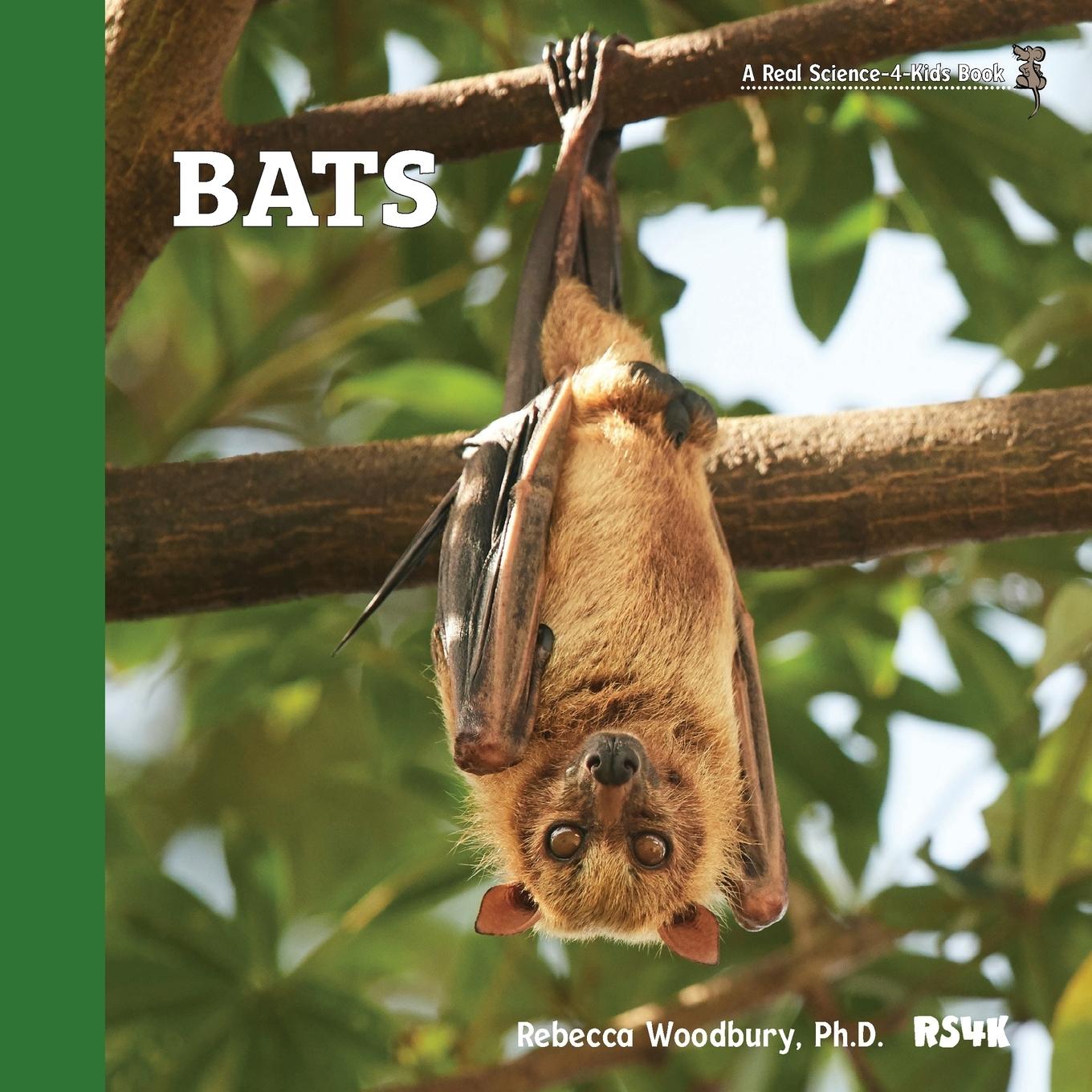 Boek Bats Rebecca Woodbury Ph.D. M.Ed.