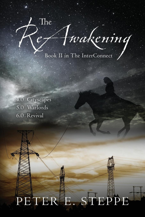 Boek The ReAwakening Peter E. Steppe