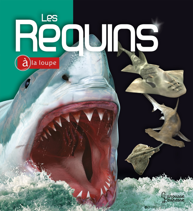 Knjiga Les Requins John A. MUSICK