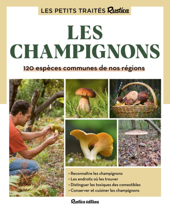 Kniha Le petit traité Rustica des champignons Bart Buyck