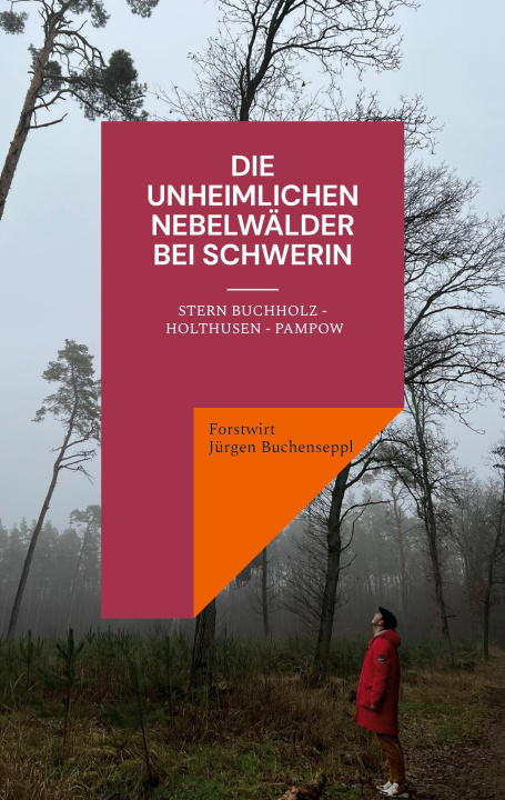 Knjiga Die unheimlichen Nebelwälder bei Schwerin 