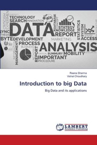 Knjiga Introduction to big Data Vishal Choudhary