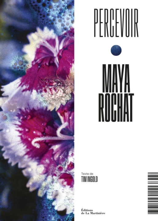 Book Maya Rochat Tim Ingold