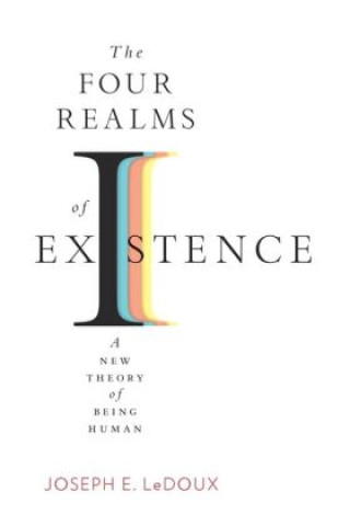 Kniha The Four Realms of Existence – A New Theory of Being Human Joseph E. Ledoux