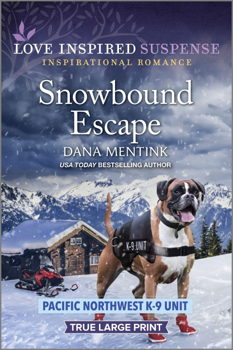 Carte Snowbound Escape 