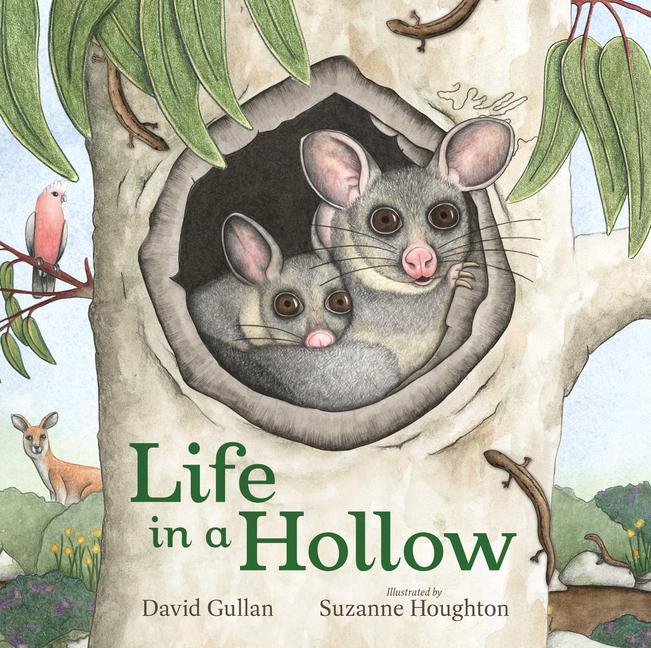 Buch Life in a Hollow Suzanne Houghton