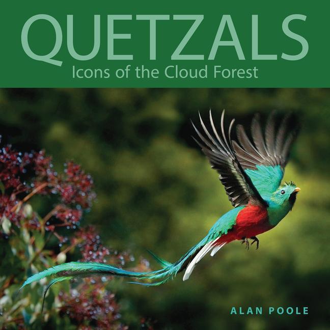 Knjiga Quetzals: Icons of the Cloud Forest 