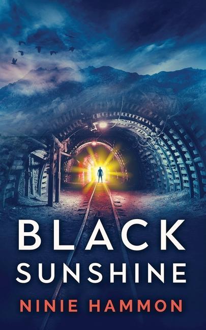 Boek Black Sunshine Ninie Hammon