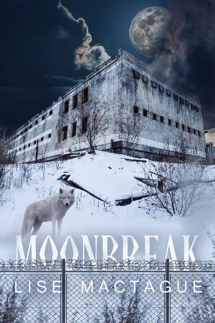 Boek Moonbreak Lise Mactague