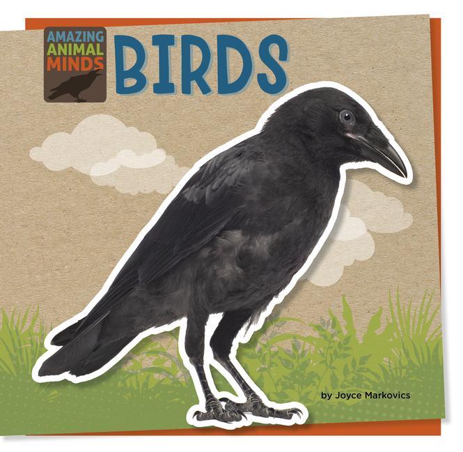 Knjiga Birds 