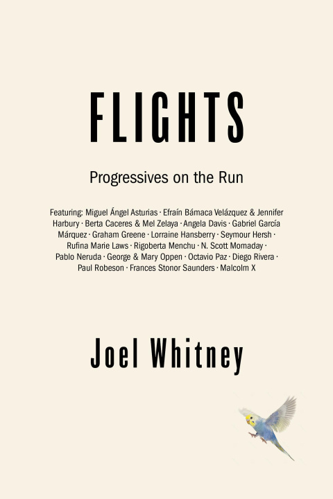 Boek Flights Joel Whitney