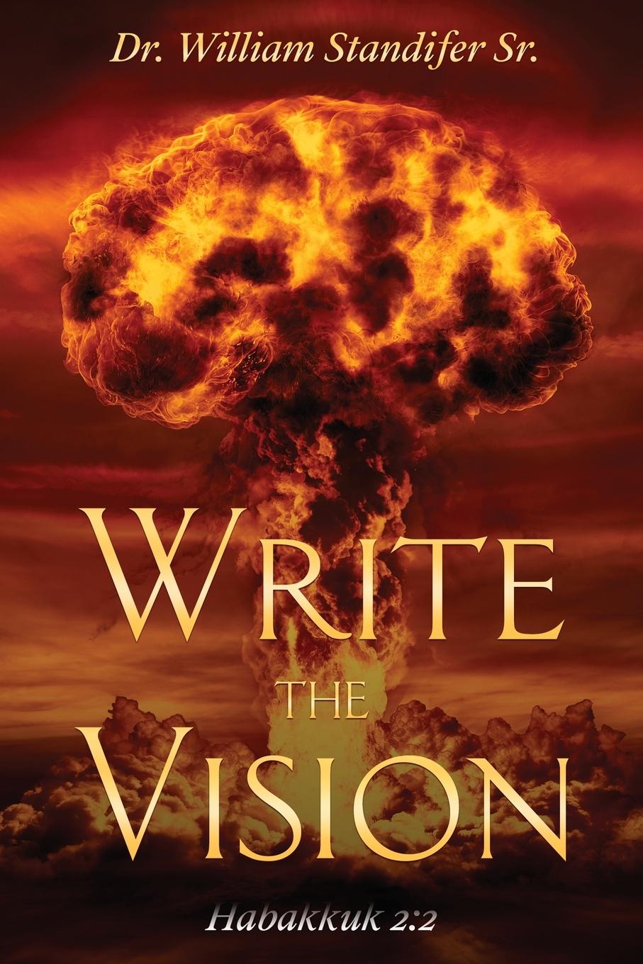 Boek Write The Vision Juanita Standifer-Woodson