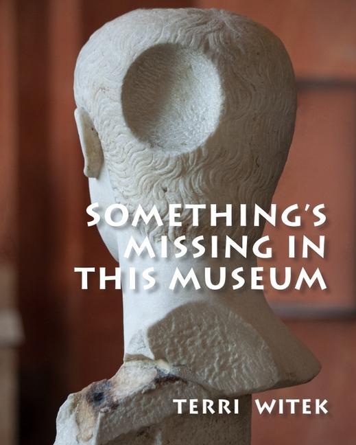 Book Something's Missing in This Museum 