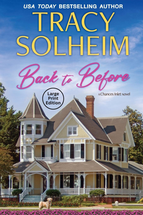 Boek Back to Before Tracy K Solheim