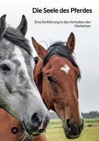 Könyv Die Seele des Pferdes Moritz