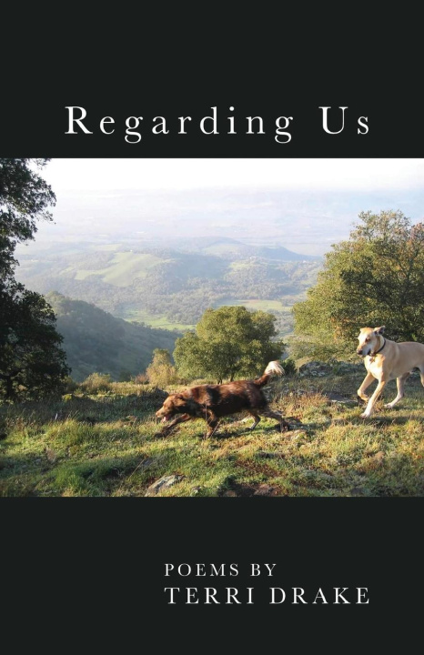 Knjiga Regarding Us Terri Drake