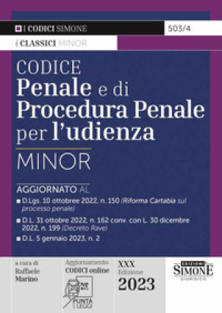 Könyv Codice penale e di procedura penale per l'udienza. Ediz. minor 