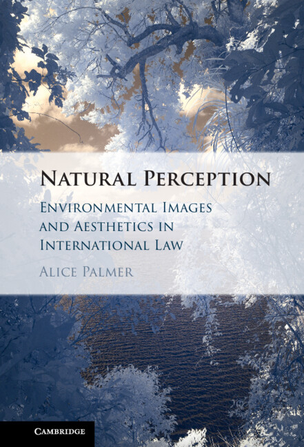 Buch Natural Perception Alice Palmer