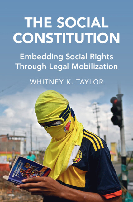 Kniha The Social Constitution Whitney K. Taylor