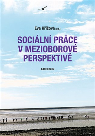 Kniha Sociální práce v mezioborové perspektivě Eva Křížová