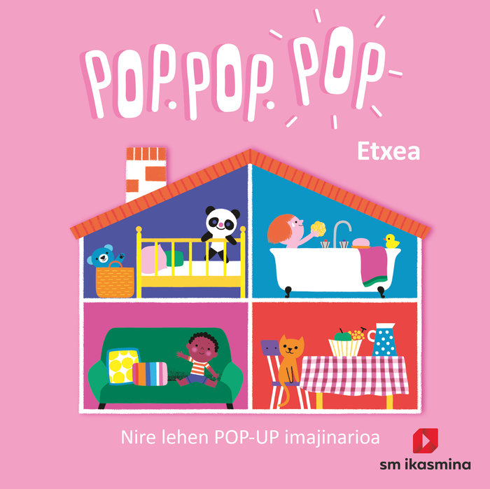 Boek ETXEA COSNEAU