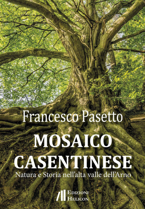 Kniha Mosaico casentinese. Natura e storia nell'alta valle dell'Arno Francesco Pasetto
