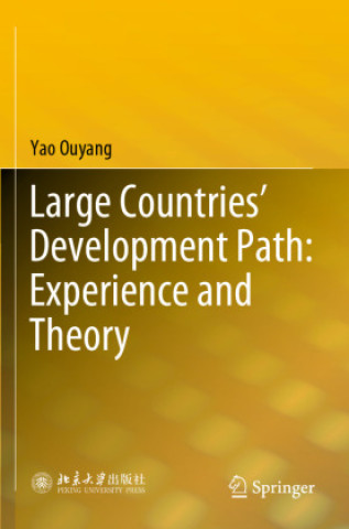 Knjiga Large Countries' Development Path: Experience and Theory Yao Ouyang