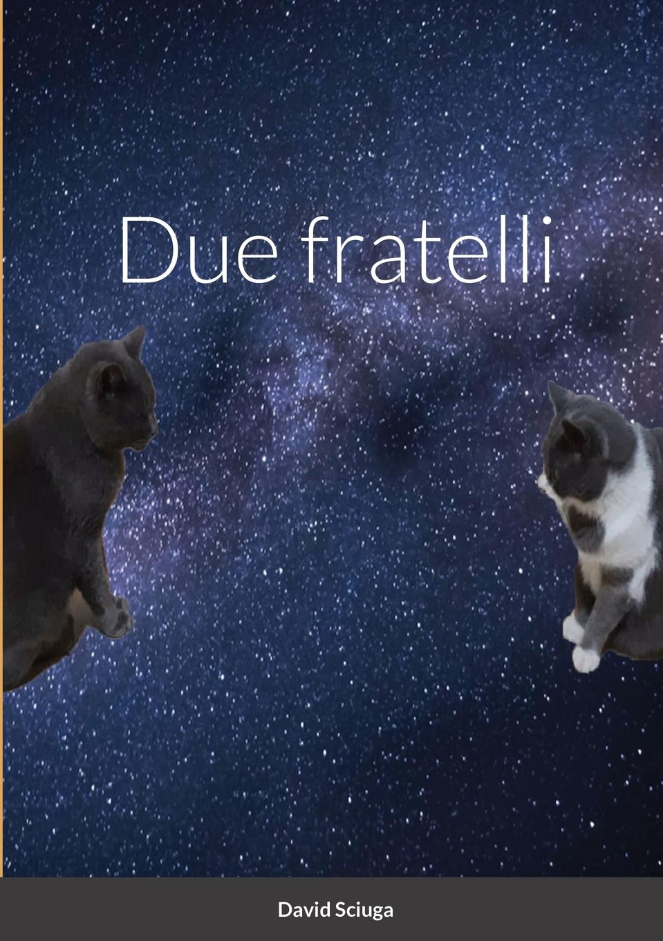 Knjiga Due fratelli David Sciuga